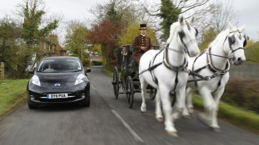 Car and horses together on the road