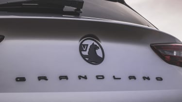 Vauxhall Grandland SUV - rear badging 