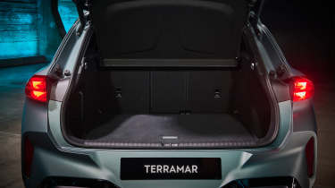 Cupra Terramar 16