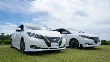 Nissan Leaf pair 2