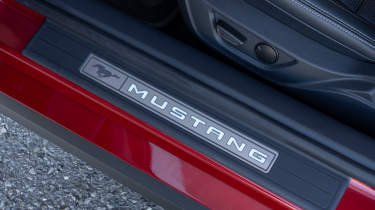 Ford Mustang door sill