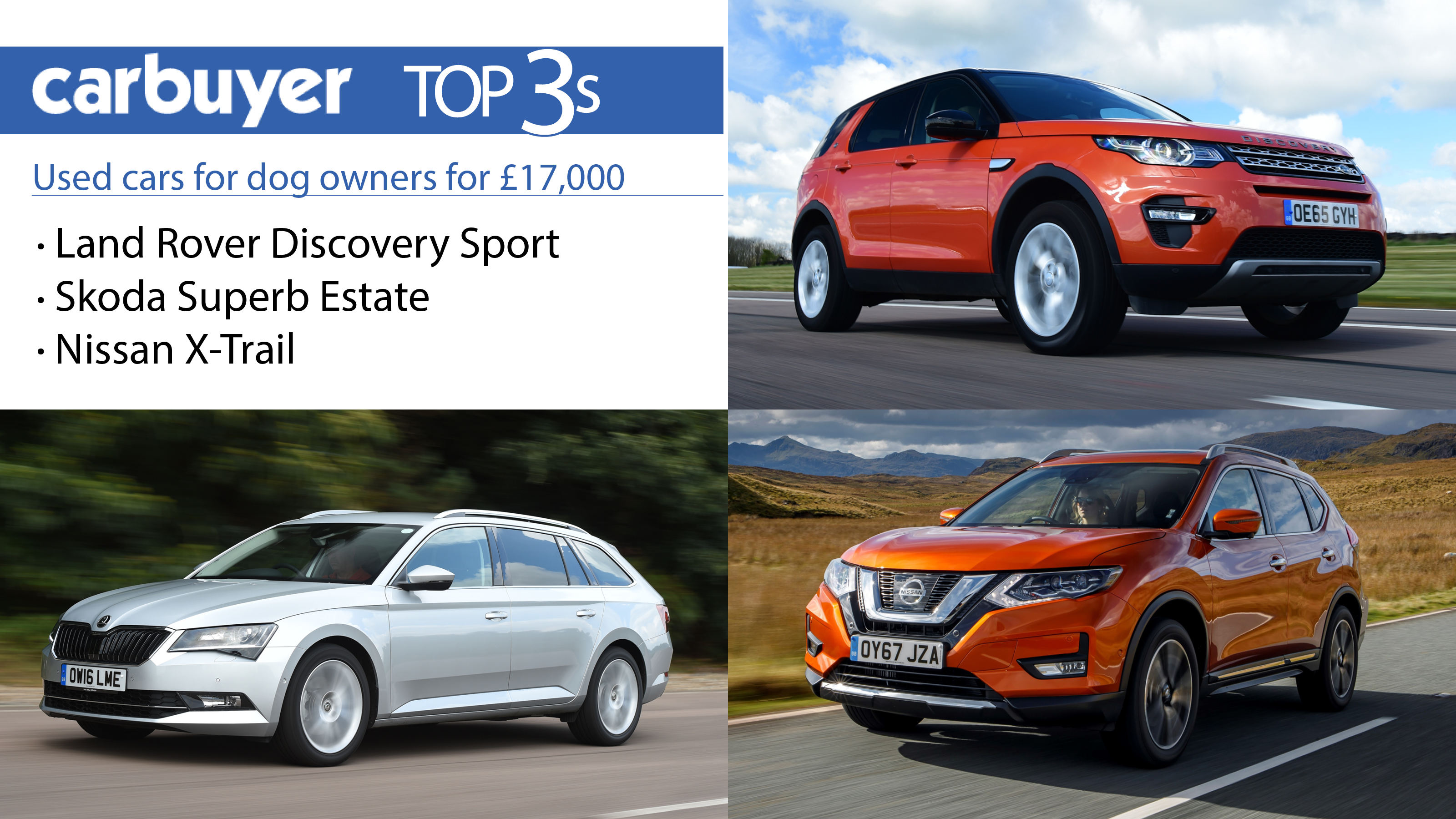 Top 3 used cars for dog owners for £17,000 Carbuyer