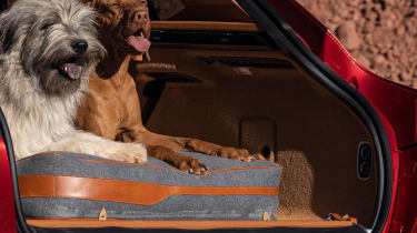 Aston Martin DBX pet pack - dogs in boot