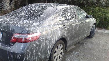 How to remove old bird poop stains from car