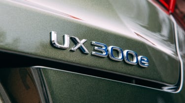 Lexus UX 300e SUV rear badge