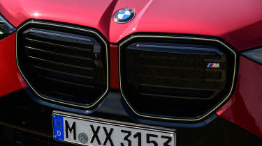 BMW X3 grille