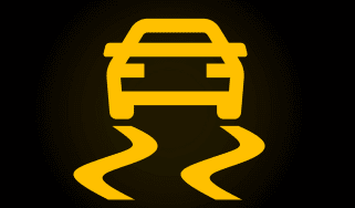 Traction control warning light