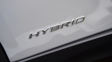 Lexus UX hybrid badging