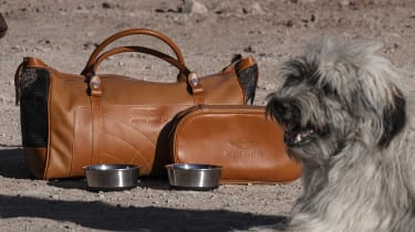 Aston Martin DBX luggage with dog