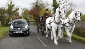 Car and horses together on the road