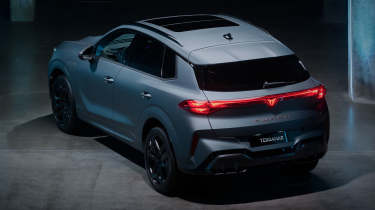 Cupra Terramar 2